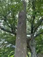 刺鹿神社(島根県)