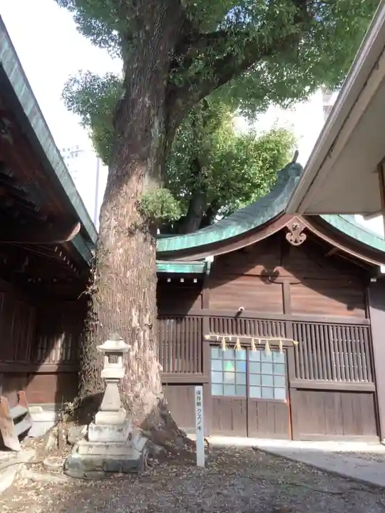 金山神社の自然