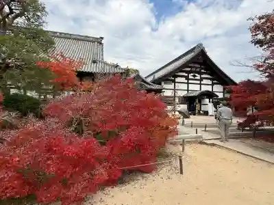 井山 宝福寺(岡山県)