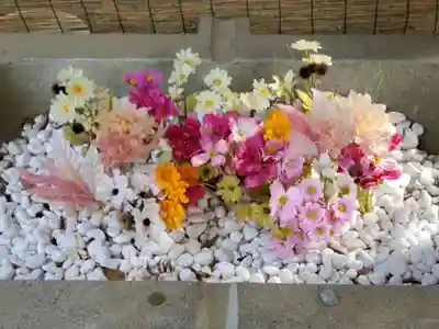 日吉神社の手水舎