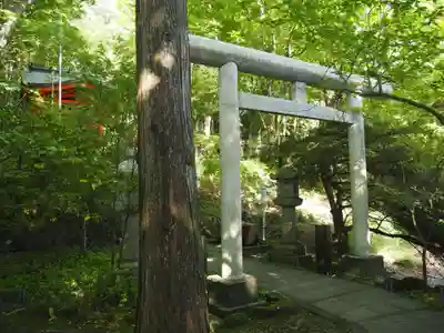 九頭龍神社本宮の鳥居