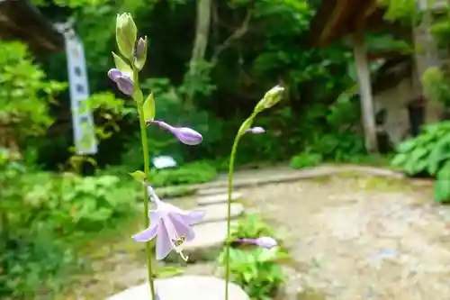 如意輪寺の自然