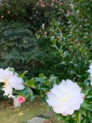 別雷皇太神の自然