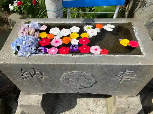 身代り不動尊　大明王院　川崎別格本山(神奈川県)