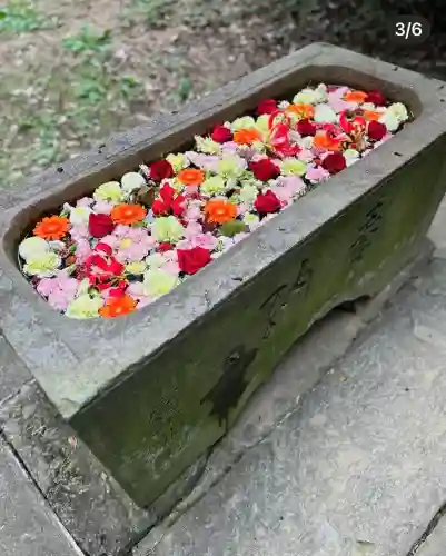 前玉神社(埼玉県)