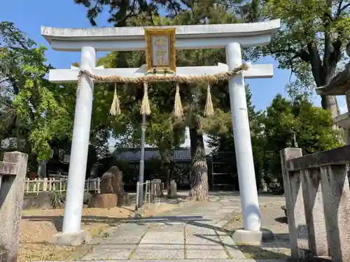 縣神社の鳥居