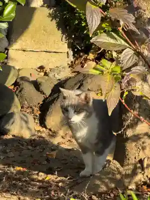 八坂神社(群馬県)