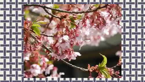修禅寺(静岡県)