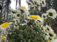 大宮温泉神社(栃木県)