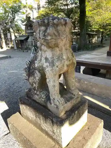 八坂神社の狛犬