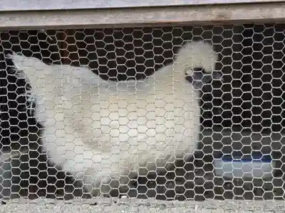 櫻木神社(東京都)