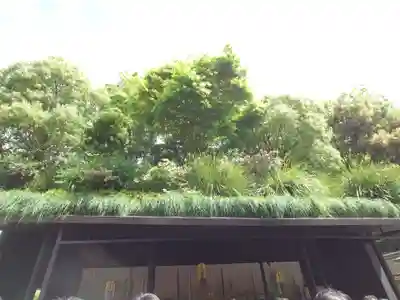 太宰府天満宮(福岡県)