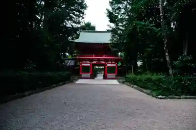 井草八幡宮(東京都)