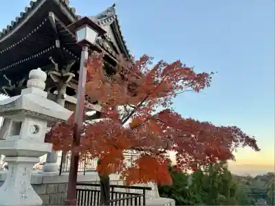 神咒寺(兵庫県)