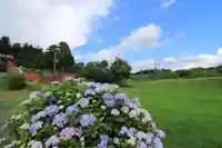 高屋敷稲荷神社の庭園