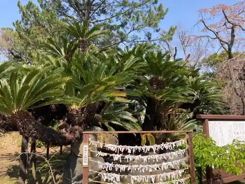 日枝神社(静岡県)