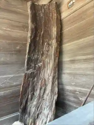 大樹寺（松安院大樹寺）(愛知県)