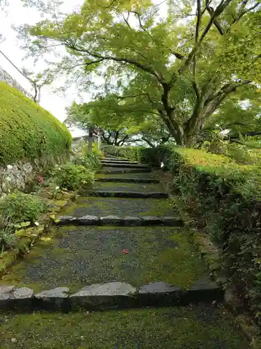 善峯寺の建物その他