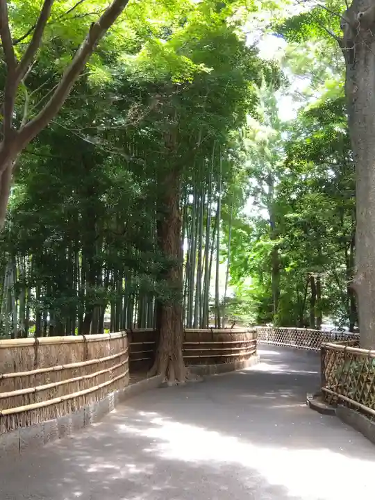 宝珠山 観泉寺(東京都)