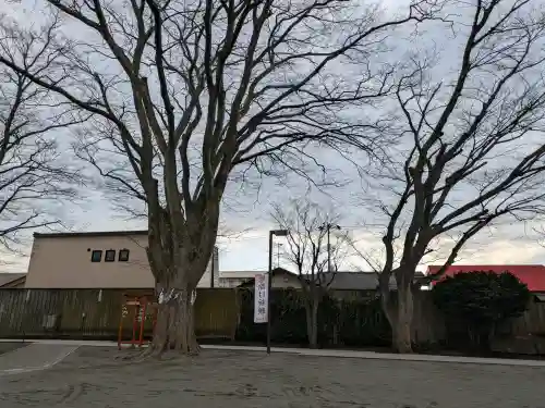 乃木神社の{uncategorized: "未分類", other: "その他", undefined: "問題あり", building: "その他建物", grave: "お墓", sacred_gate: "鳥居", guardian: "狛犬", statue: "像", buddha: "仏像", history: "歴史", nature: "自然", garden: "庭園", animal: "動物", pagoda: "塔", temizu: "手水舎", mountain_gate: "山門・神門", sanctuary: "本殿・本堂", subordinate: "末社・摂社", art: "芸術", scenery: "景色", jizo: "地蔵", ema: "絵馬", goshuin: "御朱印", omikuji: "おみくじ", items: "授与品その他", amulet: "お守り", goshuincho: "御朱印帳", eats: "食事", festival: "お祭り", votive_dance: "神楽", shichigosan: "七五三参", wedding: "結婚式", experience: "体験その他", initially: "初詣", around: "周辺", anti_infection: "感染症対策"}