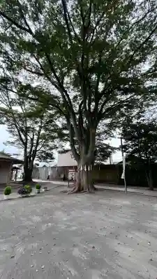 乃木神社(北海道)