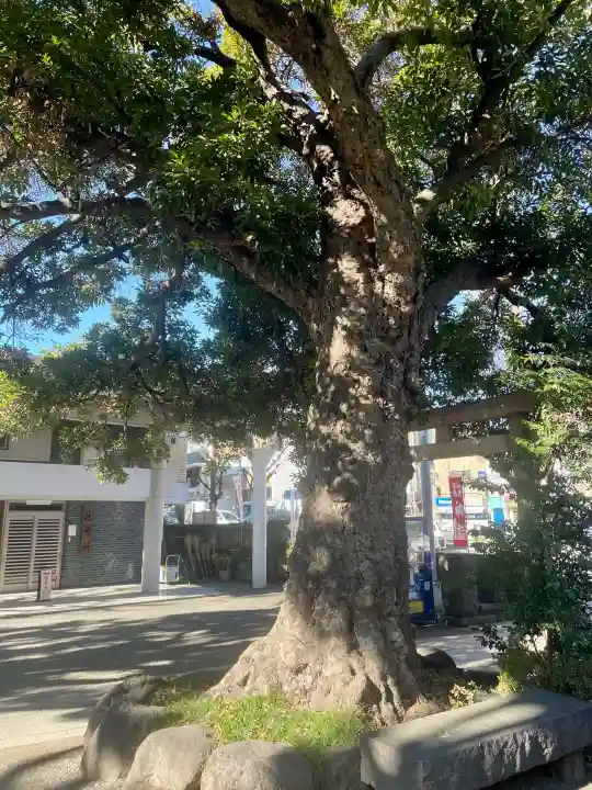 大鳥神社の{uncategorized: "未分類", other: "その他", undefined: "問題あり", building: "その他建物", grave: "お墓", sacred_gate: "鳥居", guardian: "狛犬", statue: "像", buddha: "仏像", history: "歴史", nature: "自然", garden: "庭園", animal: "動物", pagoda: "塔", temizu: "手水舎", mountain_gate: "山門・神門", sanctuary: "本殿・本堂", subordinate: "末社・摂社", art: "芸術", scenery: "景色", jizo: "地蔵", ema: "絵馬", goshuin: "御朱印", omikuji: "おみくじ", items: "授与品その他", amulet: "お守り", goshuincho: "御朱印帳", eats: "食事", festival: "お祭り", votive_dance: "神楽", shichigosan: "七五三参", wedding: "結婚式", experience: "体験その他", initially: "初詣", around: "周辺", anti_infection: "感染症対策"}
