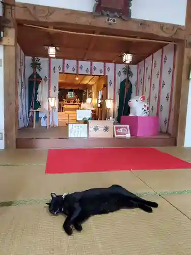 高司神社〜むすびの神の鎮まる社〜(福島県)