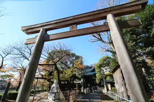 荏原神社の鳥居