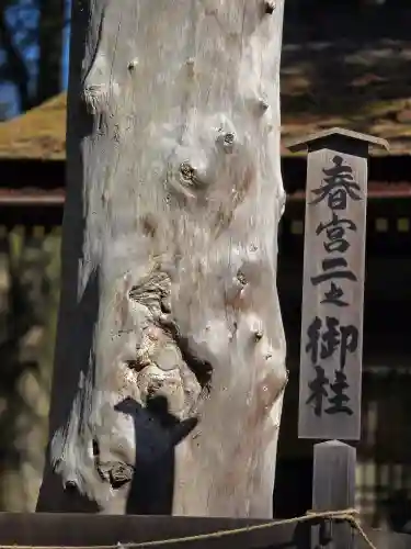諏訪大社下社春宮(長野県)