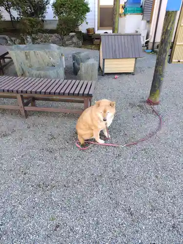 妙福寺(神奈川県)