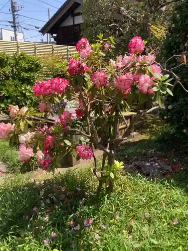 大昌寺(東京都)
