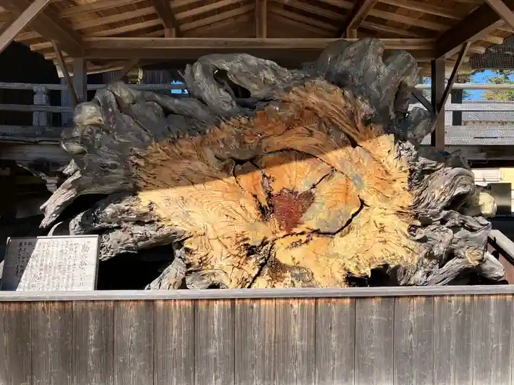 本山専修寺(三重県)