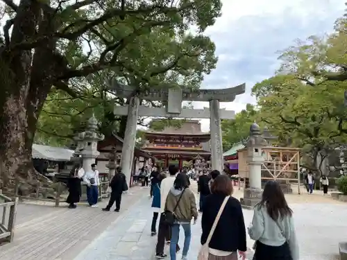 太宰府天満宮(福岡県)