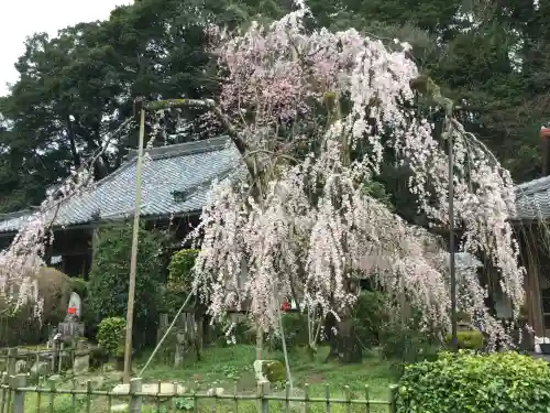 大野寺(奈良県)