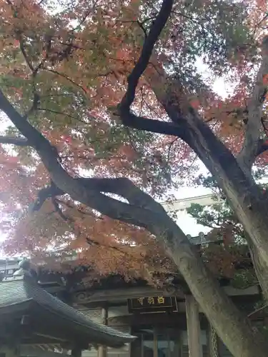 昌翁寺の本殿・本堂