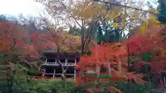 貴船神社の自然