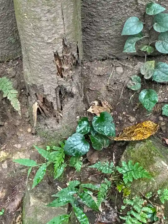 伊豆山神社(静岡県)