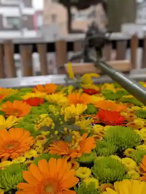 高円寺氷川神社(東京都)