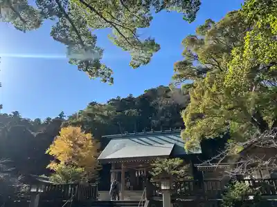 安房神社(千葉県)