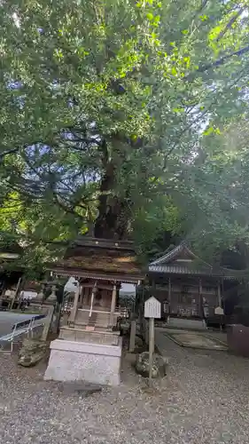 正法寺(滋賀県)