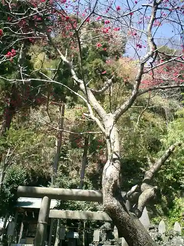 御霊神社の庭園