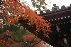 観泉寺の本殿