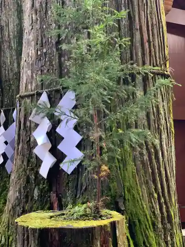 日光二荒山神社の自然