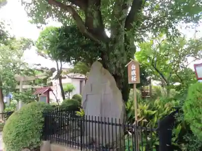 白山神社(東京都)