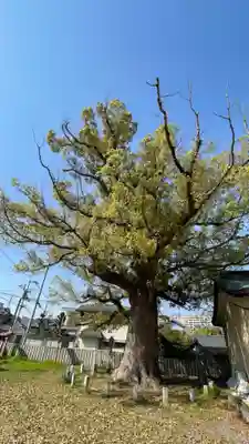 金岡神社(大阪府)