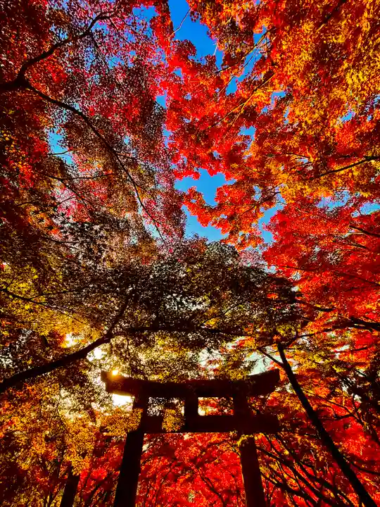 宝満宮竈門神社(福岡県)