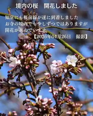 宝光寺(北海道)