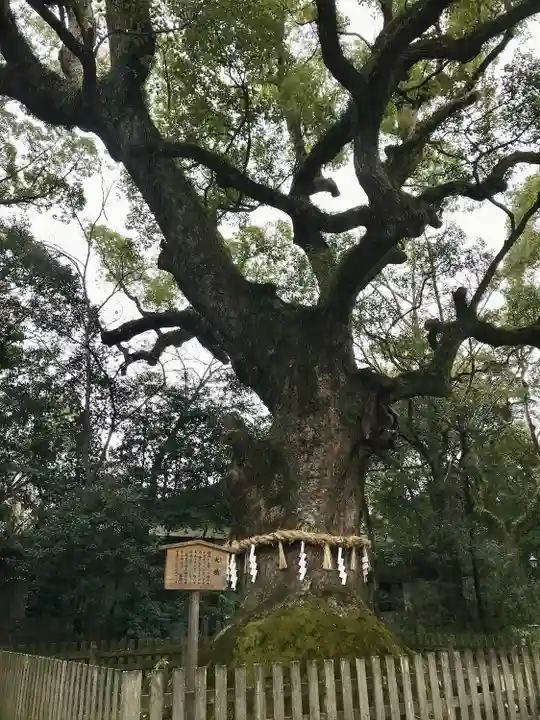 熱田神宮の自然
