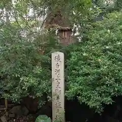新熊野神社の自然