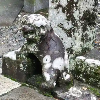 伊古奈比咩命神社の狛犬
